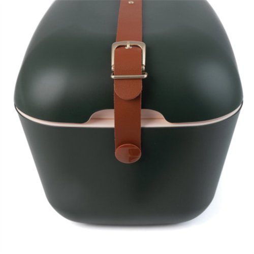 Polarbox koelbox green forest-gold 20l 