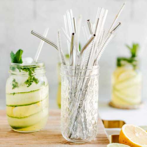 Cosy & Trendy Rietjes glas smoothie 20 cm + borstel (12 st.)