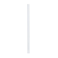 Cosy & Trendy Rietjes glas smoothie 20 cm + borstel (12 st.)