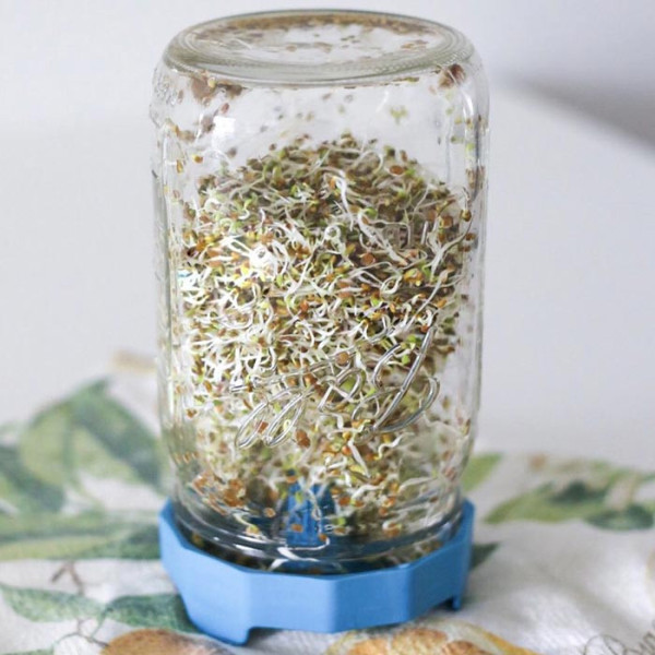 Masontops | Sprouting lid Wide mouth 2 stuks
