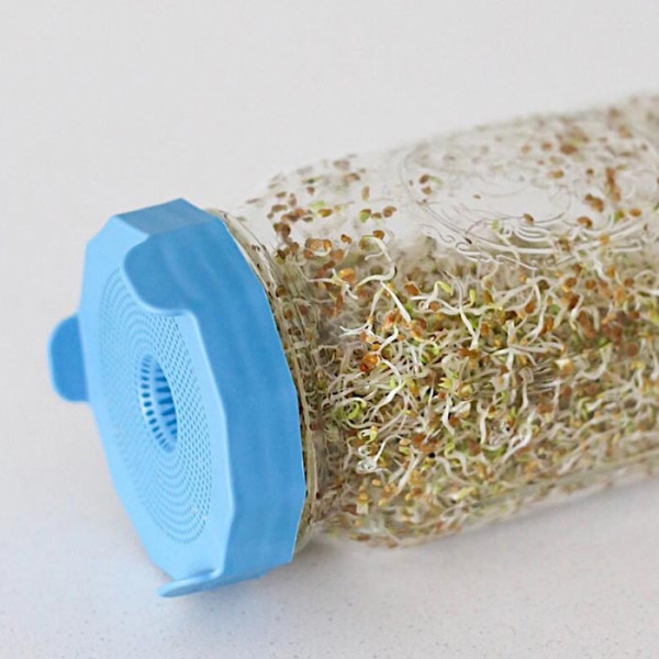 Masontops | Sprouting lid Wide mouth 2 stuks