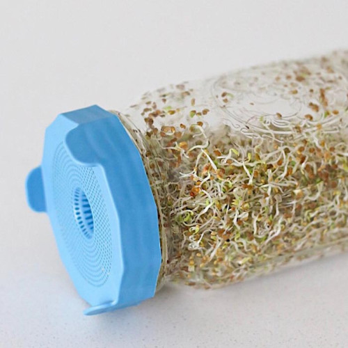 Masontops | Sprouting lid Wide mouth 2 stuks