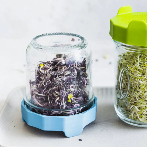 Oleni | Mason Jar Wide 300 ml (4 stuks)
