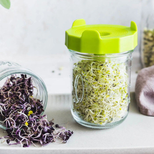 Oleni | Mason Jar Wide 500 ml (4 stuks)